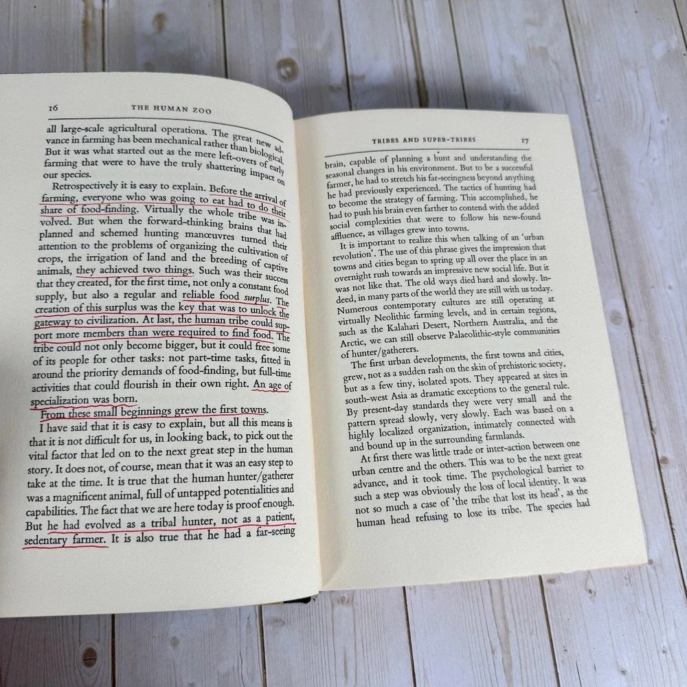 The Human Zoo Desmond Morris 1969 First American Edition McGraw-Hill Hardcover